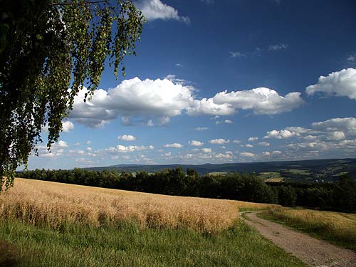 Fasten und wandern - Erzgebirge