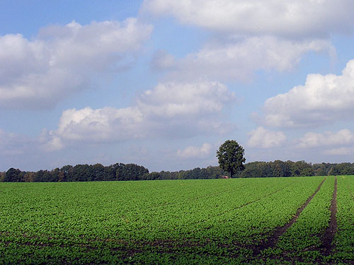 Fasten und wandern in der Lneburger Heide