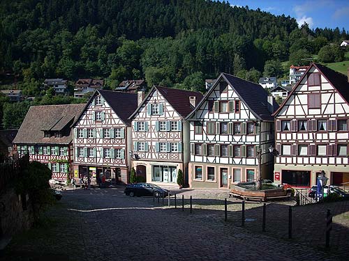 im Schwarzwald fasten und wandern