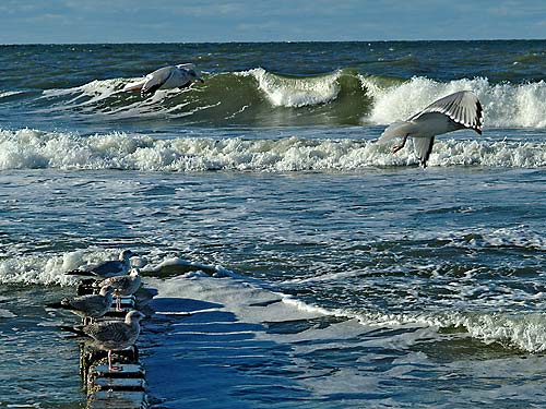 Fasten auf Sylt