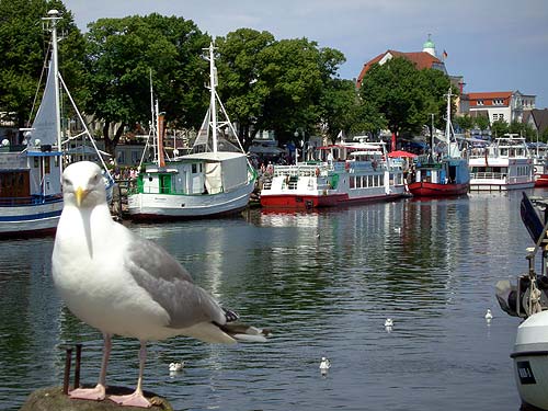 Fastenwandern in und um Warnemnde und Rostock